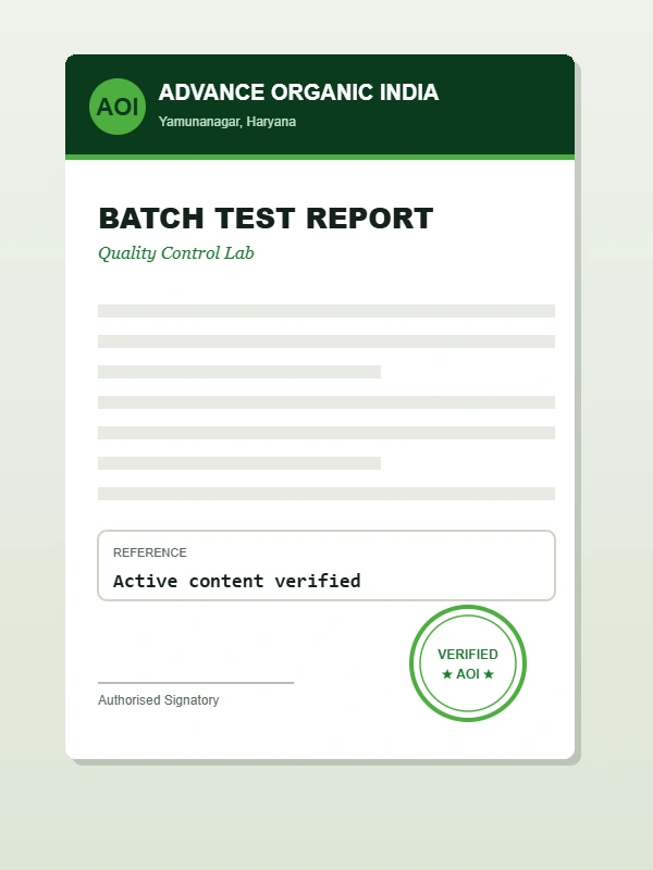 Batch Test Report
