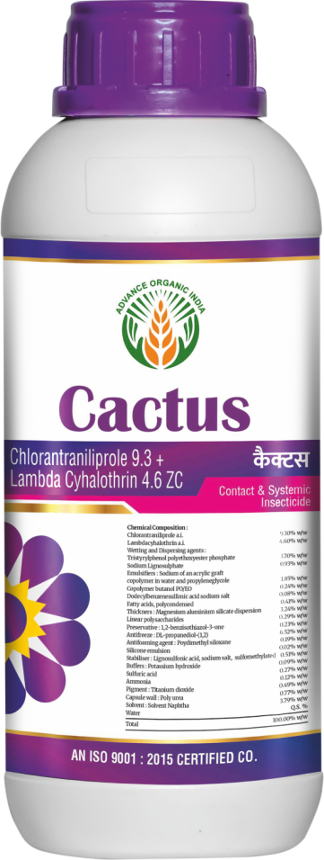 Cactus