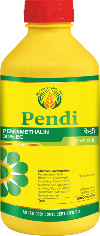 Pendi
