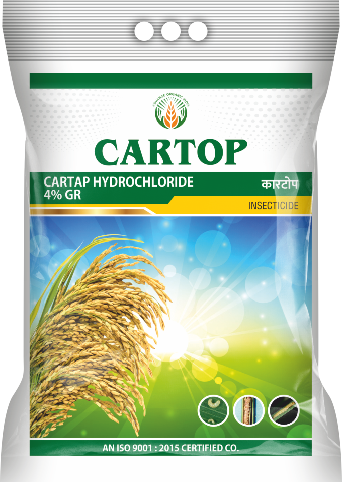Cartop