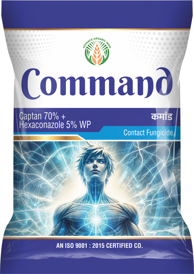 Command