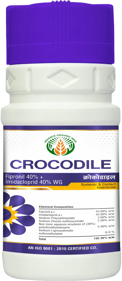 Crocodile