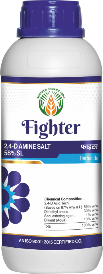 Fighter