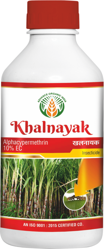 Khalnayak