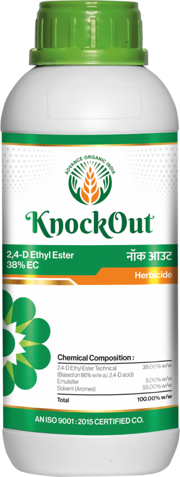 Knockout