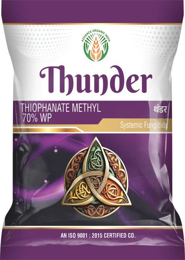Thunder