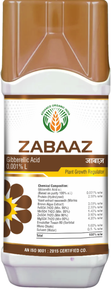 Zabaaz